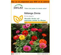 SAFLAX Garden in the bag - Mélange Zinnia - 50 graines - Zinnia
