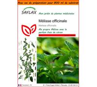 SAFLAX Garden in the bag - Mélisse officinale - 150 graines - Melissa