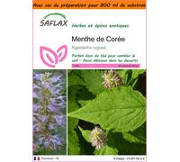 SAFLAX Garden in the bag - Menthe de Corée - 1200 graines - Agastache