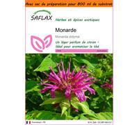 SAFLAX Garden in the bag - Monarde - 20 graines - Monarda