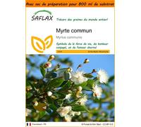 SAFLAX Garden in the bag - Myrte commun - 30 graines - Myrtus