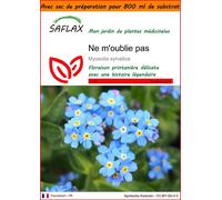 SAFLAX Garden in the bag - Ne m'oublie pas - 150 graines - Myosotis