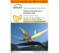 SAFLAX Garden in the bag - Oiseau de paradis jaune - Mandelas Gold - 4 graines - Strelitzia