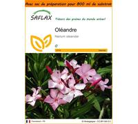 SAFLAX Garden in the bag - Oléandre - 50 graines - Nerium