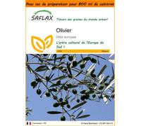SAFLAX Garden in the bag - Olivier - 20 graines - Olea