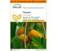 SAFLAX Garden in the bag - Papayer - 30 graines - Carica
