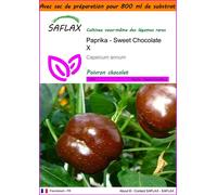 SAFLAX Garden in the bag - Paprika - Sweet Chocolate X - 10 graines - Capsicum