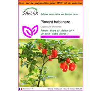 SAFLAX Garden in the bag - Piment habanero - 10 graines - Capsicum