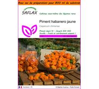 SAFLAX Garden in the bag - Piment habanero jaune - 10 graines - Capsicum