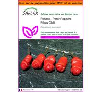 SAFLAX Garden in the bag - Piment - Peter Peppers Pénis Chili - 10 graines - Capsicum