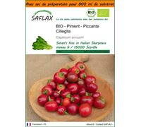 SAFLAX Garden in the bag - Piment - Piccante Cilieglia - 10 graines - Capsicum