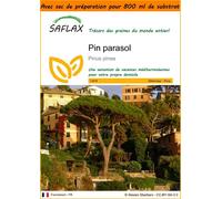 SAFLAX Garden in the bag - Pin parasol - 6 graines - Pinus
