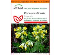 SAFLAX Garden in the bag - Primevère officinale - 100 graines - Primula