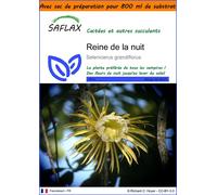 SAFLAX Garden in the bag - Reine de la nuit - 40 graines - Selenicerus