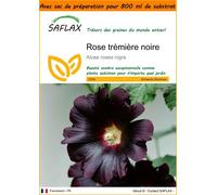 SAFLAX Garden in the bag - Rose trémière noire - 100 graines - Alcea
