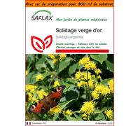 SAFLAX Garden in the bag - Solidage verge d'or - 100 graines - Solidago