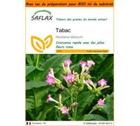 SAFLAX Garden in the bag - Tabac - 250 graines - Nicotiana