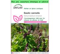 SAFLAX Garden to go - Basilic cannelle - 200 graines - Ocimum