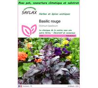 SAFLAX Garden to go - Basilic rouge - 200 graines - Ocimum