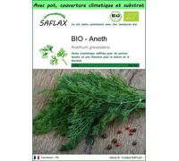 SAFLAX Garden to go - BIO - Aneth - 700 graines - Anethum