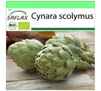 SAFLAX - Garden to go - BIO - Artichaut - Imperial star - 5 graines - Avec pot, couvercle climatique et substrat de culture - Cynara scolymus
