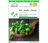 SAFLAX Garden to go - BIO - Basilic - Génois - 800 graines - Ocimum