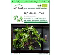 SAFLAX Garden to go - BIO - Basilic - Thaï - 250 graines - Ocimum