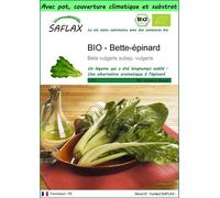 SAFLAX Garden to go - BIO - Bette-épinard - 150 graines - Beta