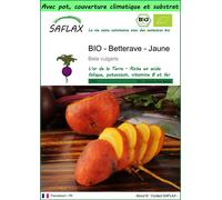 SAFLAX Garden to go - BIO - Betterave - Jaune - 50 graines - Beta