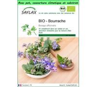 SAFLAX Garden to go - BIO - Bourrache - 40 graines - Borago