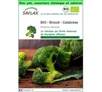 SAFLAX Garden to go - BIO - Brocoli - Calabrese - 100 graines - Brassica