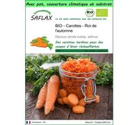 SAFLAX Garden to go - BIO - Carottes - Roi de l'automne - 1000 graines - Daucus