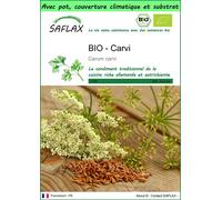 SAFLAX Garden to go - BIO - Carvi - 800 graines - Carum
