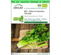 SAFLAX Garden to go - BIO - Céleri en branches - Tall Utah - 500 graines - Apium