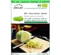 SAFLAX Garden to go - BIO - Chou chinois - Granat - 40 graines - Brassica