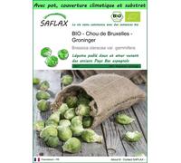 SAFLAX Garden to go - BIO - Chou de Bruxelles - Groninger - 30 graines - Brassica