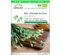 SAFLAX Garden to go - BIO - Ciboulette de Chine - 100 graines - Allium
