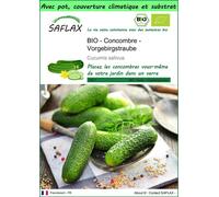 SAFLAX Garden to go - BIO - Concombre - Vorgebirgstraube - 15 graines - Cucumis