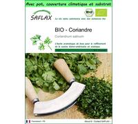 SAFLAX Garden to go - BIO - Coriandre - 150 graines - Coriandrum