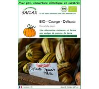 SAFLAX Garden to go - BIO - Courge - Delicata - 6 graines - Cucurbita