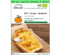SAFLAX Garden to go - BIO - Courge - Spaghetti - 5 graines - Cucurbita