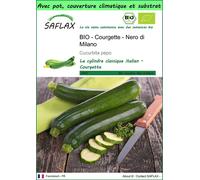 SAFLAX Garden to go - BIO - Courgette - Nero di Milano - 6 graines - Cucurbita