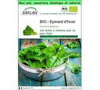SAFLAX Garden to go - BIO - Epinard d'hiver - 250 graines - Spinacia