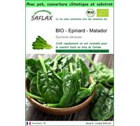 SAFLAX Garden to go - BIO - Epinard - Matador - 300 graines - Spinacia