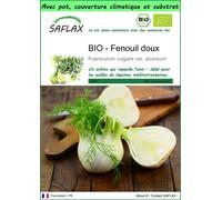 SAFLAX Garden to go - BIO - Fenouil doux - 100 graines - Foeniculum