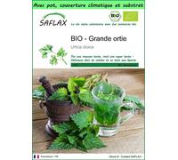SAFLAX Garden to go - BIO - Grande ortie - 2000 graines - Urtica