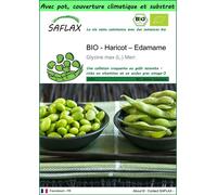 SAFLAX Garden to go - BIO - Haricot – Edamame - 8 graines - Glycine