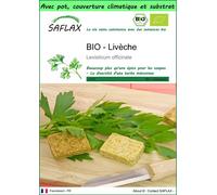 SAFLAX Garden to go - BIO - Livèche - 100 graines - Levisticum