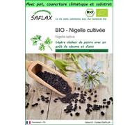 SAFLAX Garden to go - BIO - Nigelle cultivée - 300 graines - Nigella