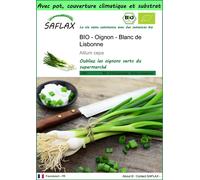 SAFLAX Garden to go - BIO - Oignon - Blanc de Lisbonne - 150 graines - Allium